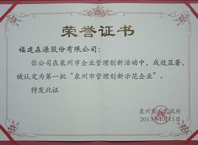 南安政府獎勵森源喜獲管理創新企業第二名